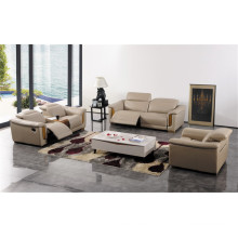 Living Room Sofa with Modern Genuine Leather Sofa Set (422)